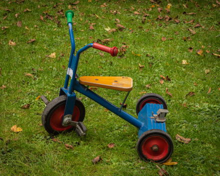 BE056 DRIEWIELER