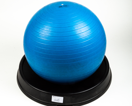 BE113 ZITBAL MET BALLENSTEUN