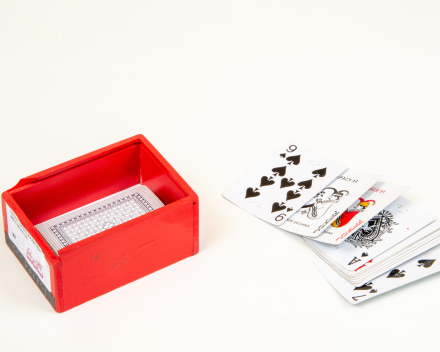 kaartspel met braille
