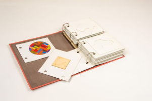 ZV037 TACTILE CARDS