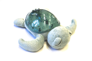 ZZ008 TRANQUIL TURTLE