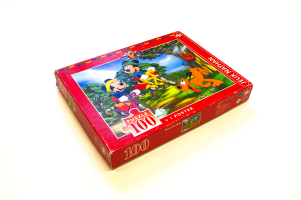 P0010 MICKEY EN VRIENDEN GAAN KAMPEREN